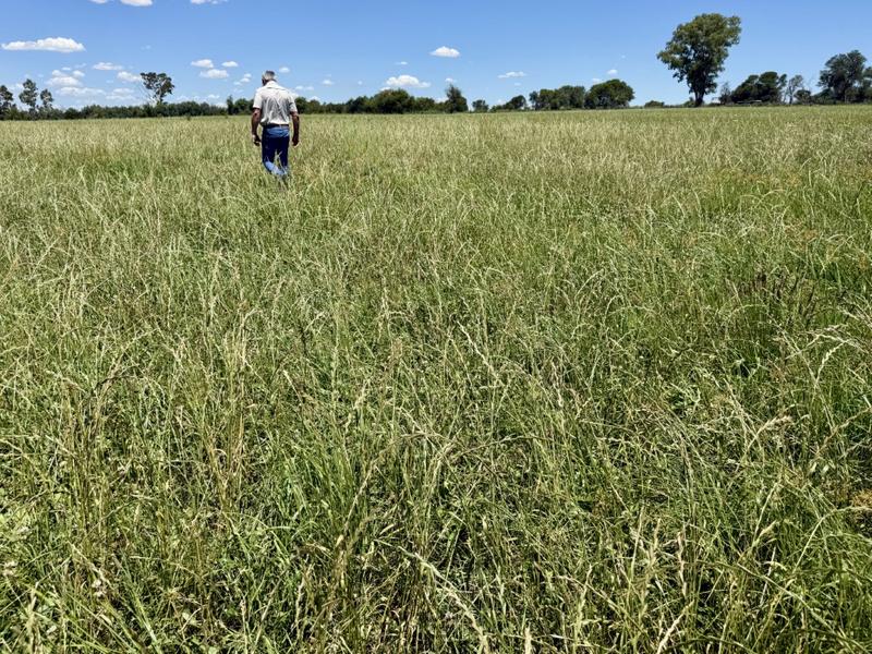 0 Bedroom Property for Sale in Bothaville Free State